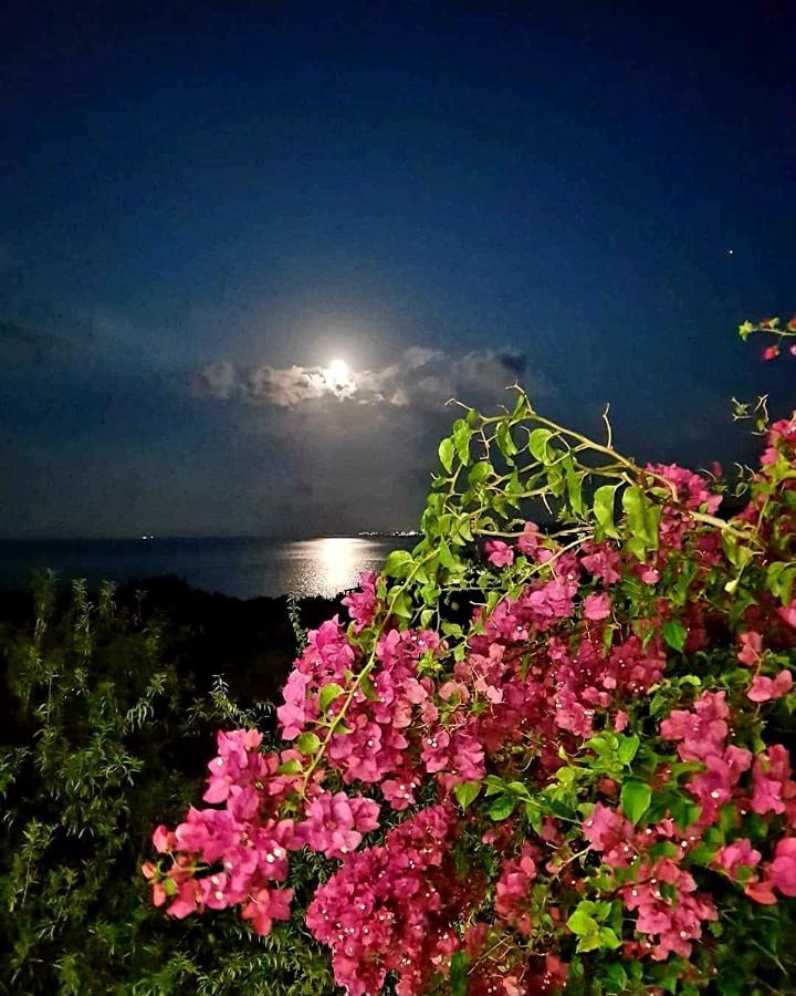 Fexulis Studios & Suites Agios Nikolaos  Esterno foto
